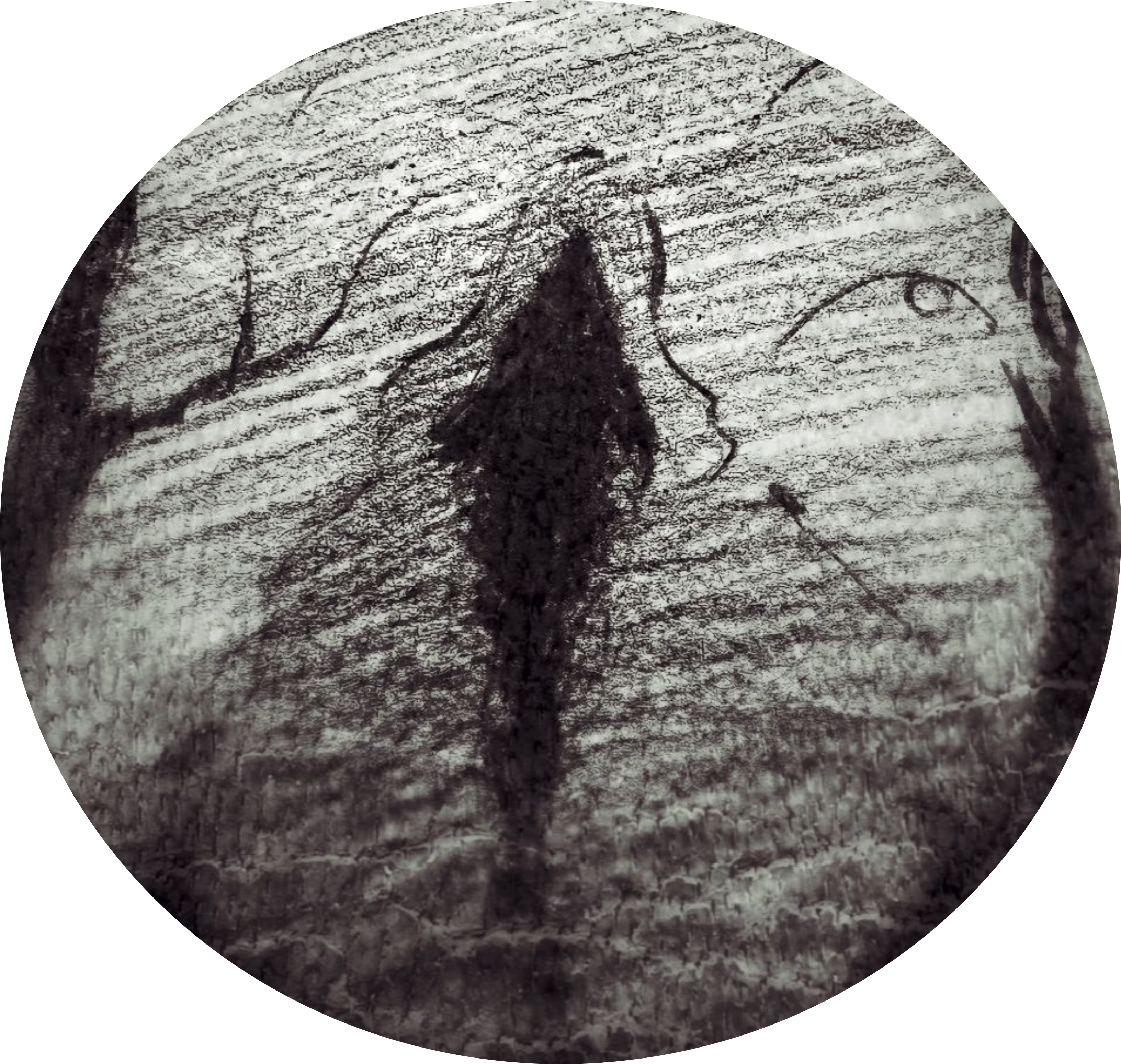 ИИ-бот Герольд