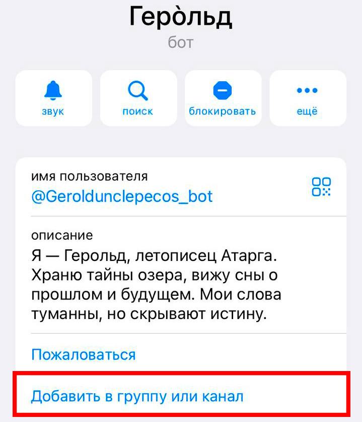 Telegram-бот магазина чехлов